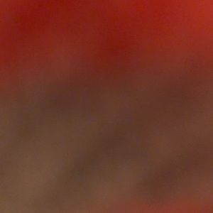 Meet your Posher, Brei